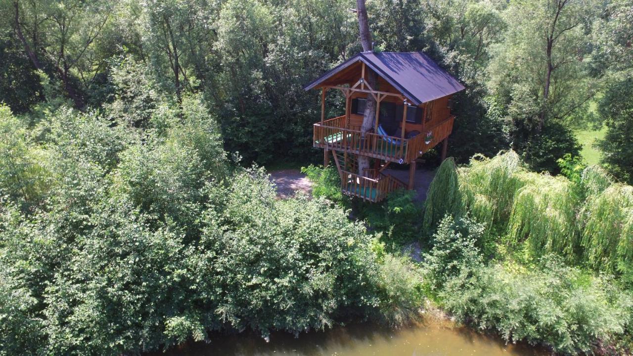 Cuibul Vulturilor - Casuta In Copac Villa Moisei Ngoại thất bức ảnh