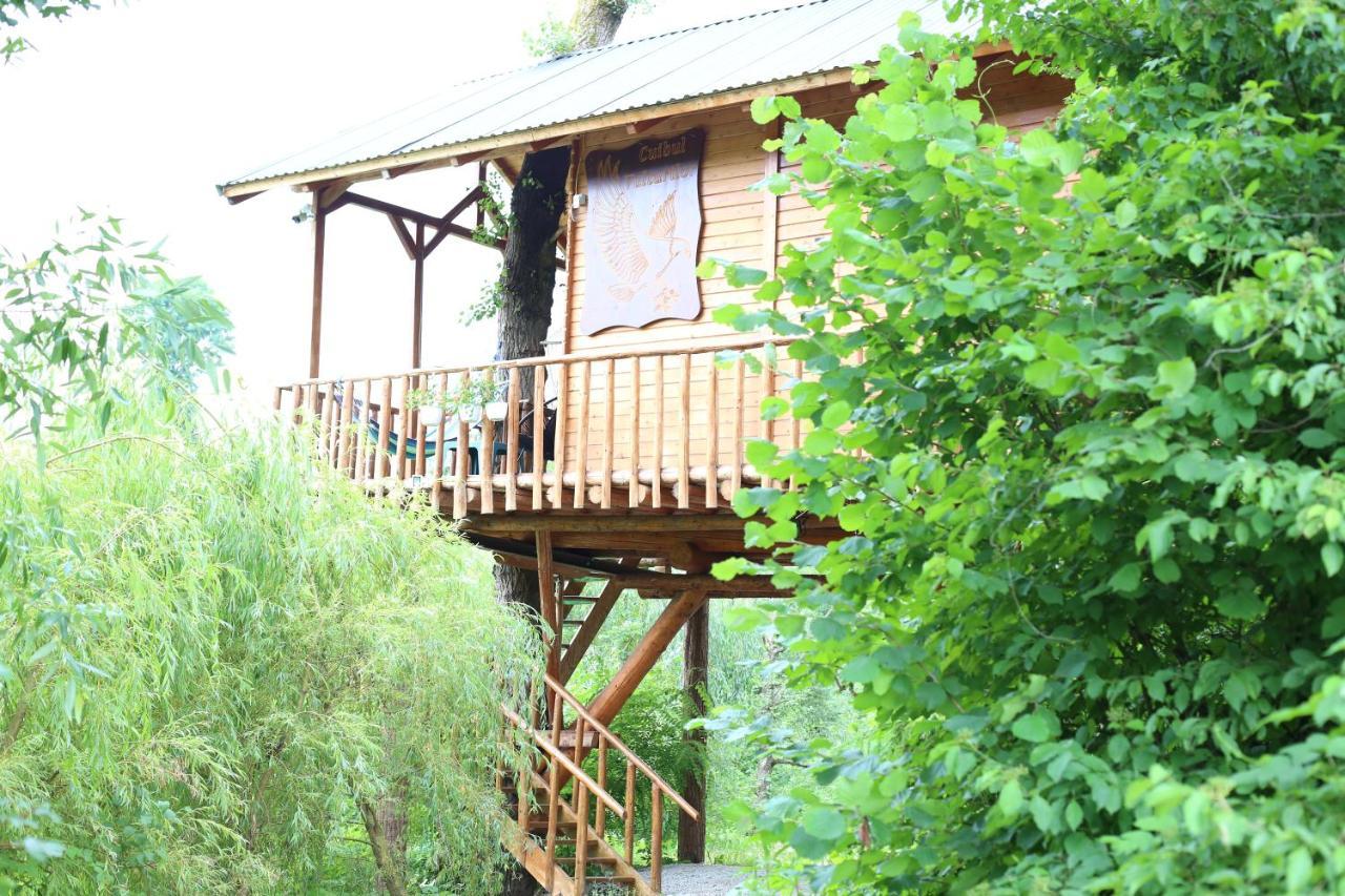 Cuibul Vulturilor - Casuta In Copac Villa Moisei Ngoại thất bức ảnh