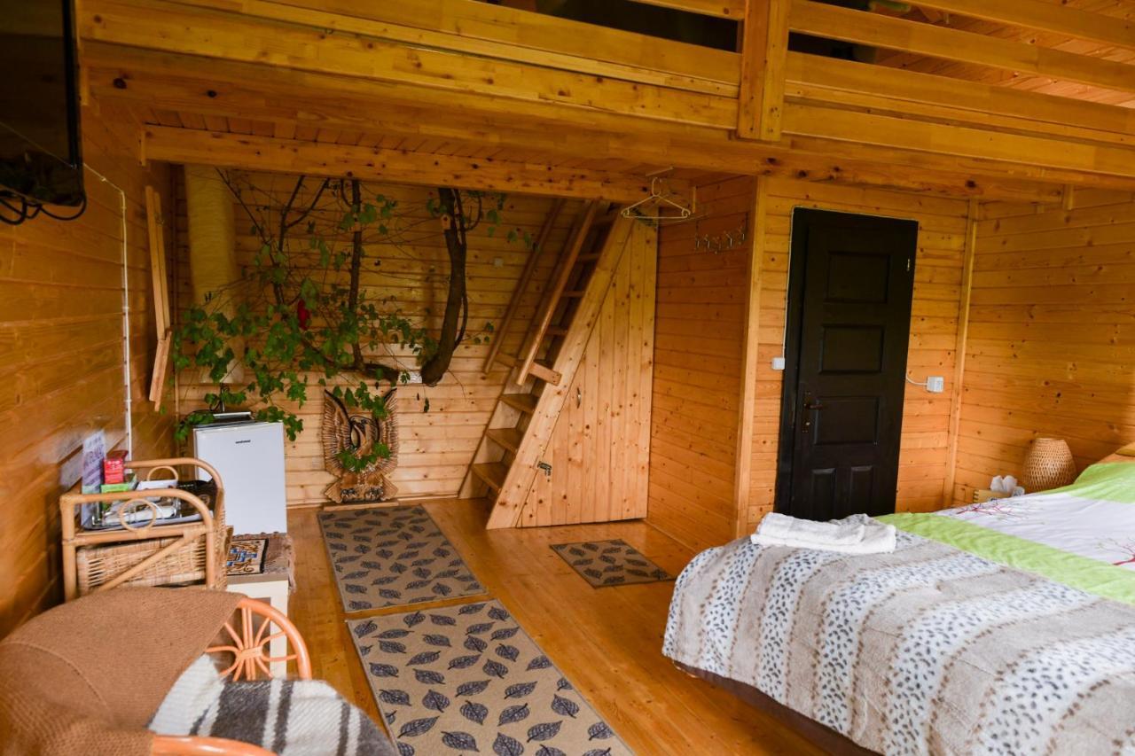 Cuibul Vulturilor - Casuta In Copac Villa Moisei Ngoại thất bức ảnh