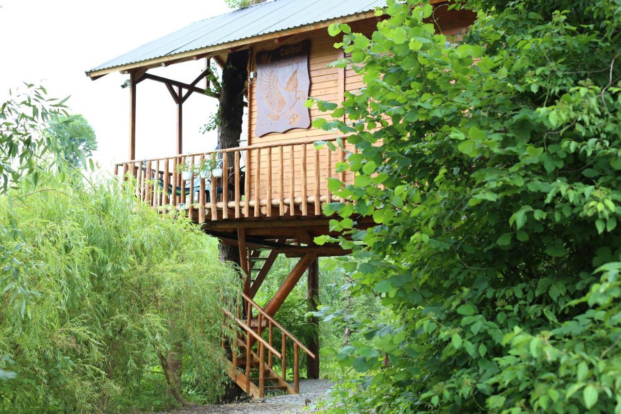 Cuibul Vulturilor - Casuta In Copac Villa Moisei Ngoại thất bức ảnh