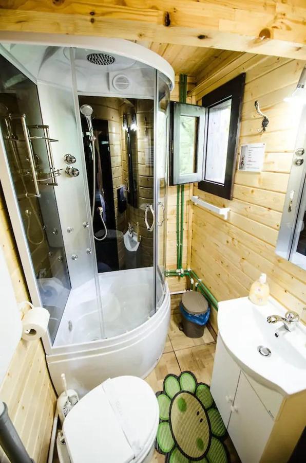 Cuibul Vulturilor - Casuta In Copac Villa Moisei Ngoại thất bức ảnh